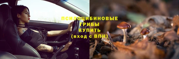 ПСИЛОЦИБИНОВЫЕ ГРИБЫ Балабаново